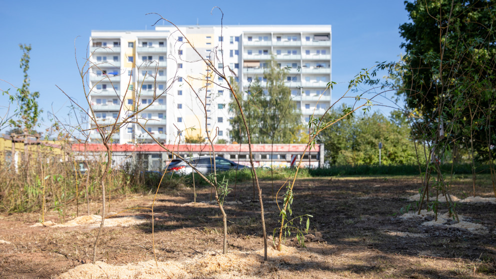 Unter dem Motto "Alle Plätze sind Spielplätze" sollten bei der Apfelbaumparade Orte der Begegnung geschaffen werden.  