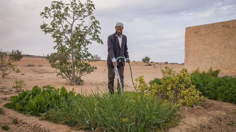 Water scarcity is already a bitter reality in some regions of the world. 