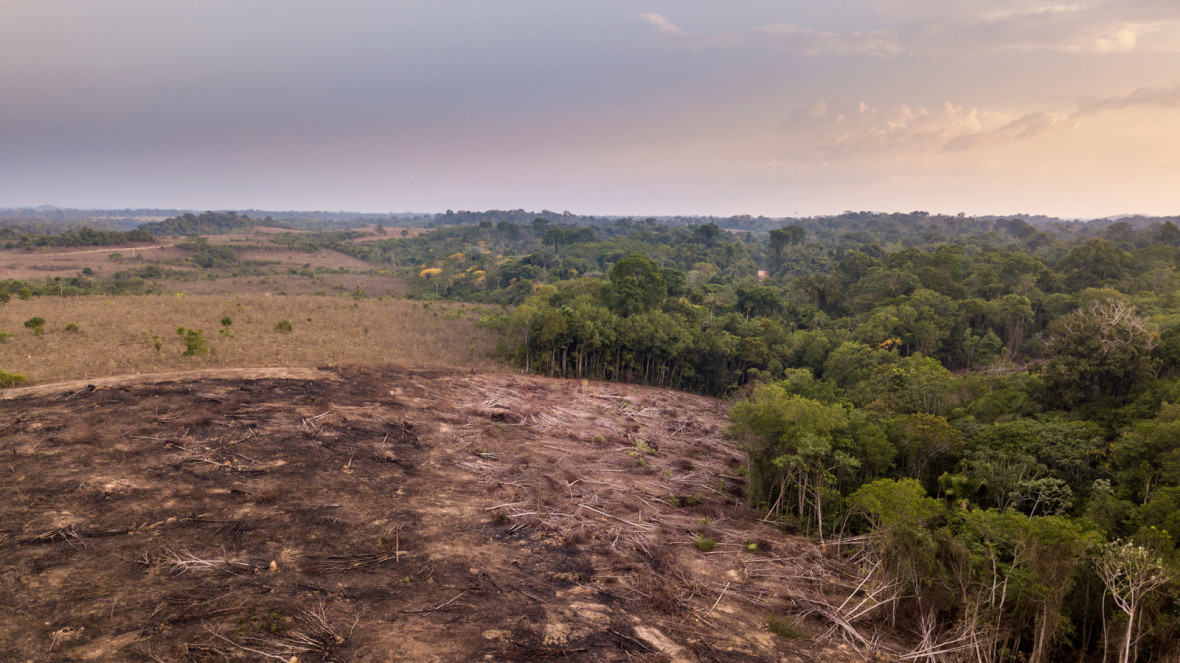 Illegale Abholzung im brasilianischen Regenwald:  Die Überbeanspruchung der natürlichen Ressourcen hat Folgen.